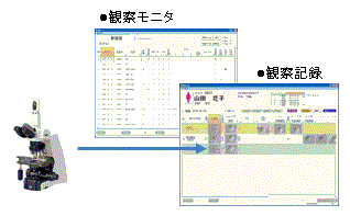 観察記録